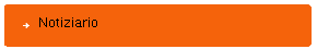 Notiziario