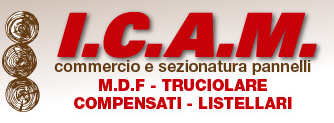ICAM S.A.S.