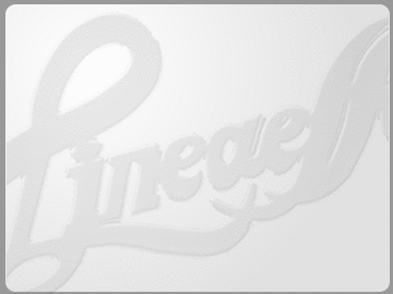 LINEA EFFE SRL
