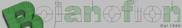 BOIANOFLON SRL