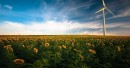 Sistemi di accumulo di energia
